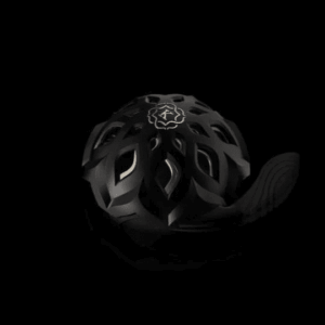 Kaloud Lotus 3 - III Niris + Auris Heat Management System (Black & Gold)